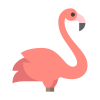 Bird Watching
