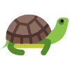 Turtle Watching