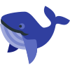 Whale Watching