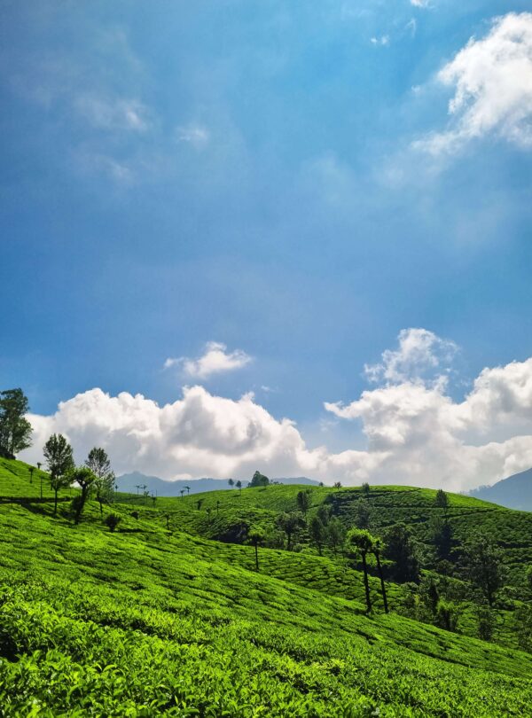 Nuwara Eliya