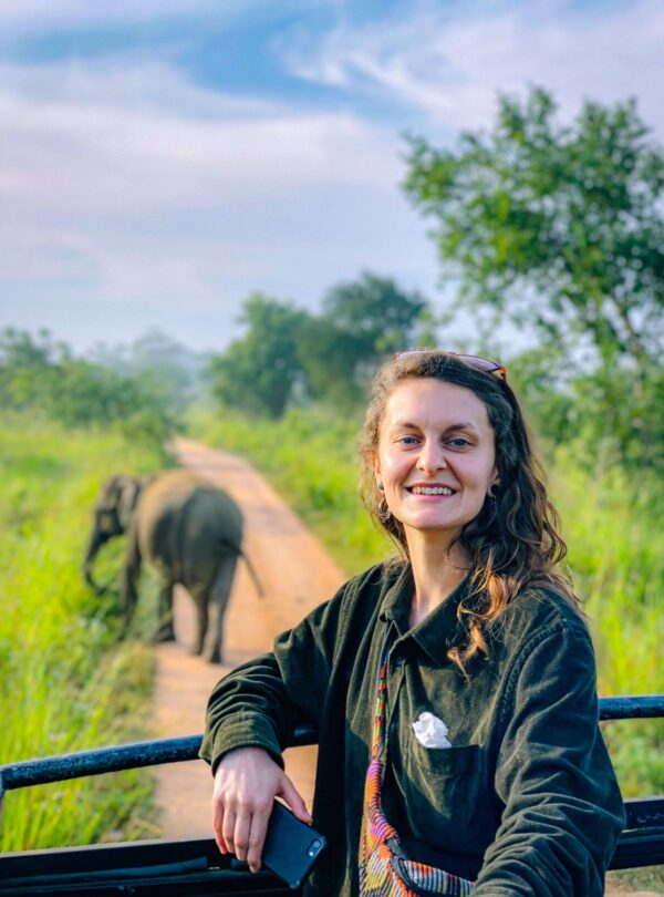 Safari