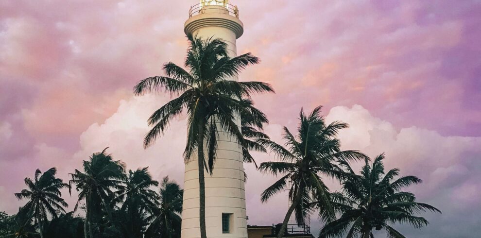 shainee fernando drGdvwyhmoc unsplash
